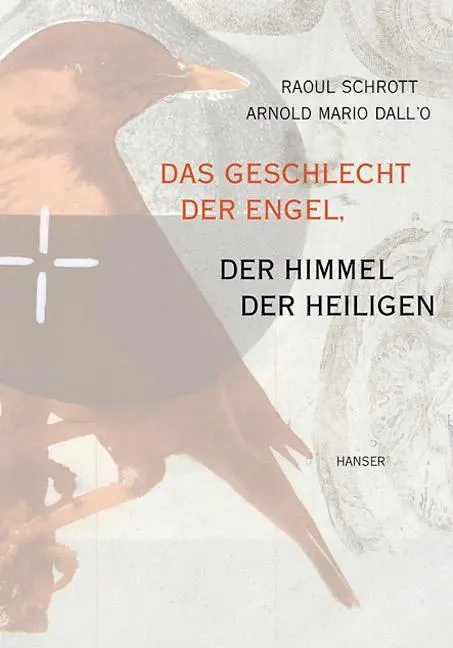 Cover Raoul Schrott Das Geschlecht der Engel, Der Himmel der Heiligen, © Hanser 2001