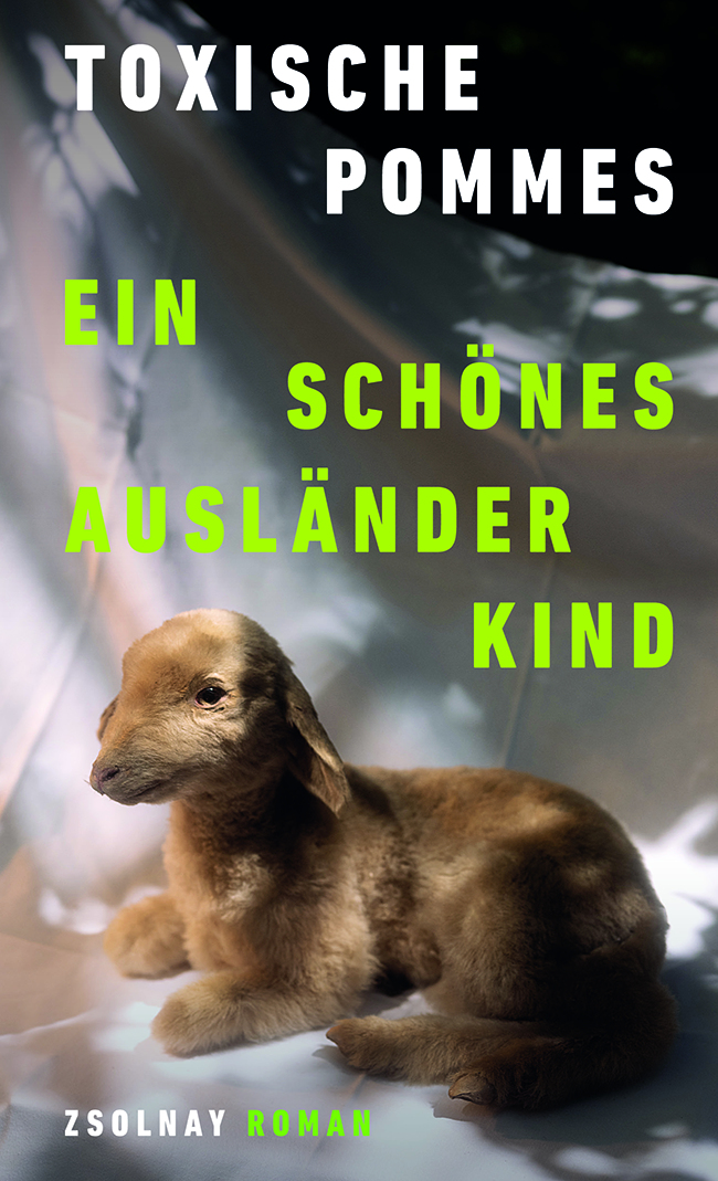 Cover Toxische Pommes Ein schönes Auslädnerkind, © Zsolnay Verlag 2024