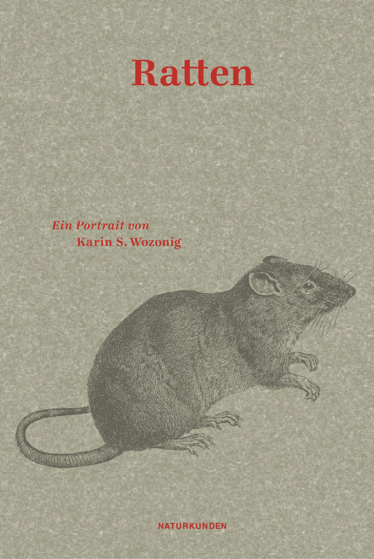 Cover Karin Wozonig Ratten, © Matthes & Seitz 2024