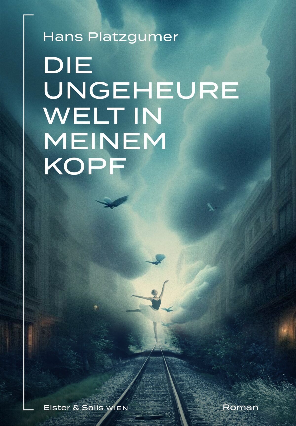 Cover Hans Platzgumer Die ungeheure Welt in meinem Kopf, © Elster & Salis Wien 2024